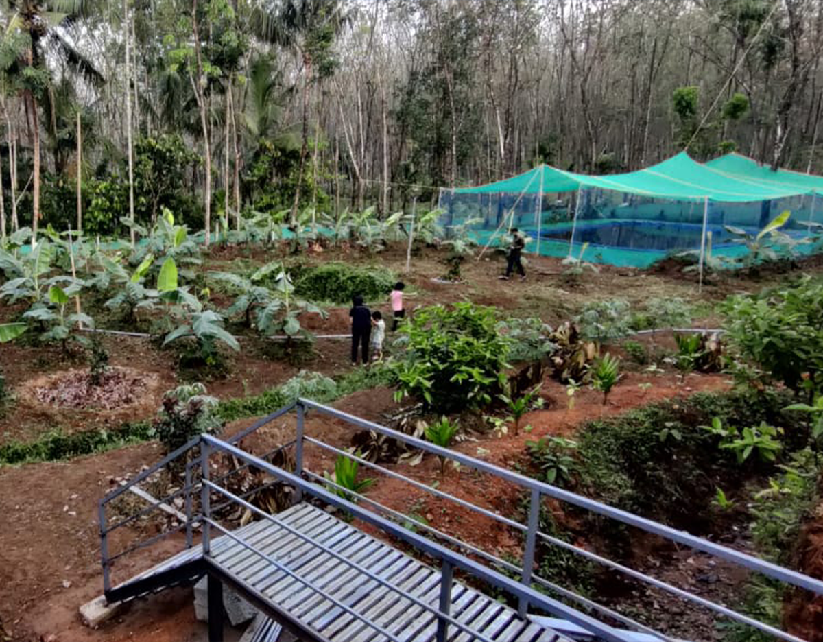 Wake Up to Nature – Immersive Forest Living